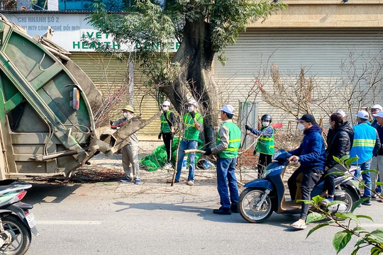 30 Tết, tiểu thương quyết chặt bỏ đào chứ không bán rẻ - Ảnh 10.