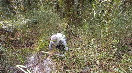 CLIP: Đã mắt xem săn đặc sản dưới tán rừng U Minh Hạ - Ảnh 2.