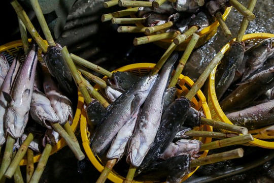 TP HCM: Phố cá lóc nướng xuyên đêm đỏ lửa cho ngày vía Thần Tài - Ảnh 6.