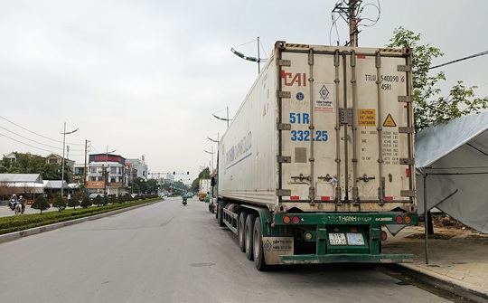 Hoa, cây cảnh ùn ùn về phố phục vụ dân chơi Tết - Ảnh 14.