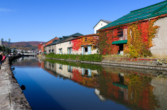 Đăng ký tour du lịch Hokkaido vào mùa thu giảm ngay 25 triệu đồng - Ảnh 2.