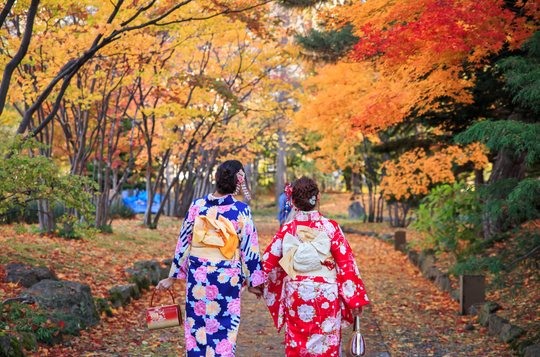 Đăng ký tour du lịch Hokkaido vào mùa thu giảm ngay 25 triệu đồng - Ảnh 4.