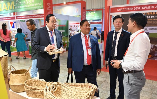 Long An thúc đẩy quan hệ hợp tác, đầu tư, thương mại với Cuba - Ảnh 5.
