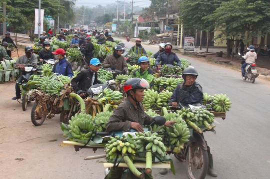 Quảng Trị nỗ lực giảm nghèo bền vững - Ảnh 3.