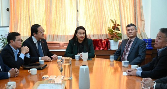 Long An tăng cường hợp tác hữu nghị với các doanh nghiệp Mỹ - Ảnh 1.