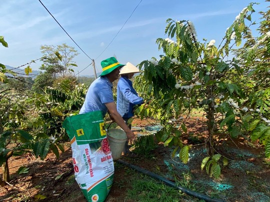 Nông dân Tây Nguyên đua tài tại Lễ hội cà phê - Ảnh 2.