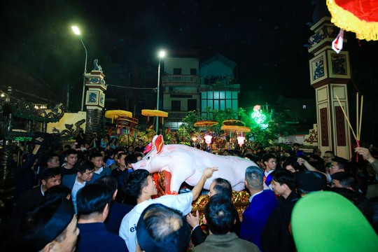 Hàng ngàn người đổ về La Phù xem rước ông lợn - Ảnh 11.