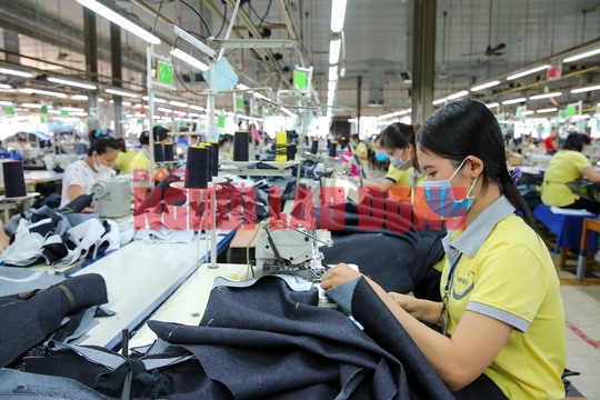 Giảm năm đóng BHXH để hưởng lương hưu: Hãy để người lao động lựa chọn - Ảnh 1.