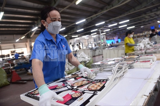 Hãy trả lại tuổi hưu cho người lao động - Ảnh 1.