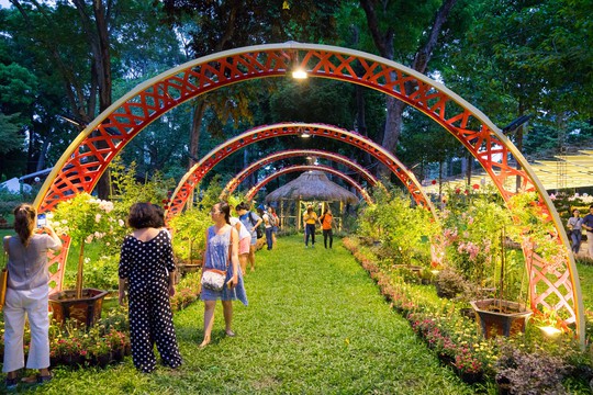 “Đậm đà hương sắc” tại Festival Hoa lan TP HCM lần II-2023 - Ảnh 9.