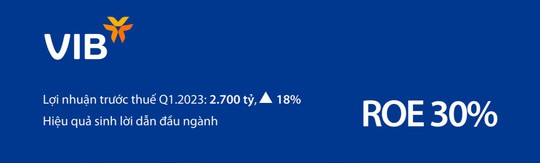 VIB: Lãi quý I đạt 2.700 tỉ đồng, tăng 18%, đang trả cổ tức 35% - Ảnh 2.