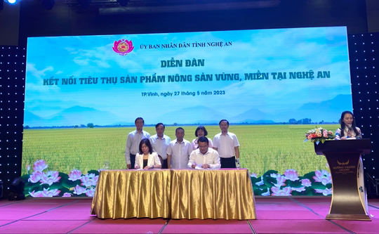 WinCommerce ký kết hợp tác tiêu thụ nông sản với các doanh nghiệp, hợp tác xã tỉnh Nghệ An - Ảnh 1.