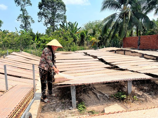 Cần Thơ: Hỗ trợ tạo việc làm cho lao động nữ - Ảnh 2.