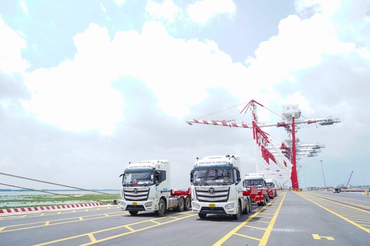 Cảng quốc tế Long An hợp long 7 cầu cảng và khai trương dịch vụ khai thác hàng container - Ảnh 4.