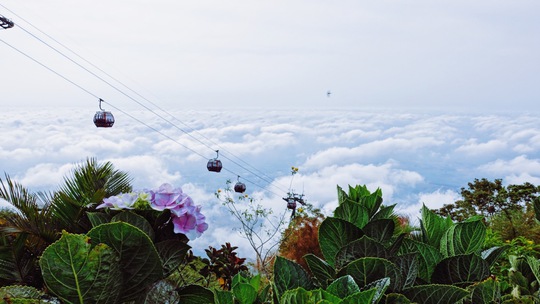 Săn “mây đĩa bay” trên đỉnh núi Bà – “hot trend” tại Tây Ninh - Ảnh 4.