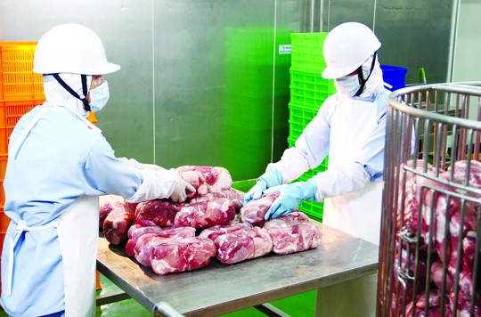 Ajinomoto: Từ “ông trùm” bột ngọt đến đa dạng sản phẩm - Ảnh 1.