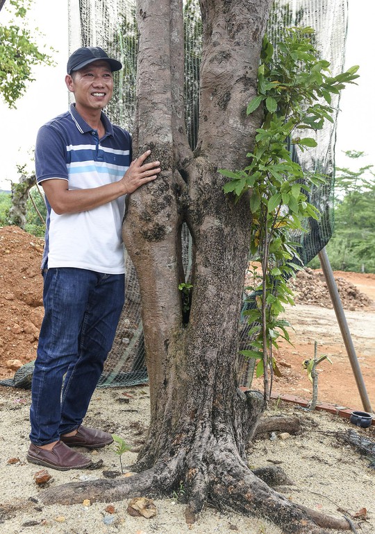 Khu vườn bonsai độc đáo của chàng trai trẻ Quảng Nam - Ảnh 2.