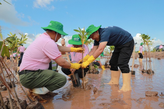 Khởi động dự án trồng cây bảo vệ đa dạng sinh học tại trang trại nuôi tôm C.P. Việt Nam - Ảnh 3.