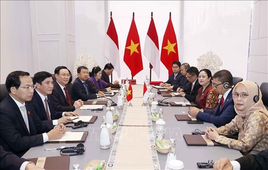 Việt Nam - Indonesia nhất trí tạo thuận lợi thương mại - Ảnh 3.