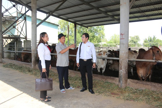 Long An ứng dụng công nghệ cao gắn với tái cơ cấu nông nghiệp - Ảnh 1.