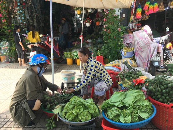 Lá trầu không có điểm khác biệt so với các loại lá khác không?