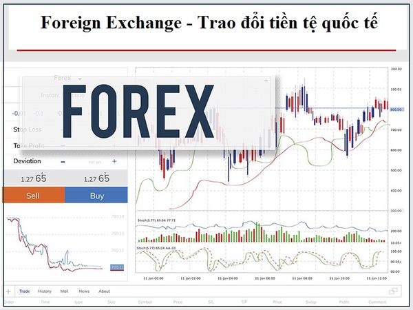 Kinh doanh forex exchange gooral better place empik lublin