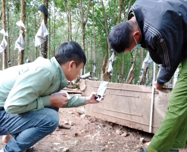 đồ gỗ nội thất Kon Tum