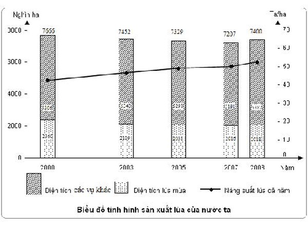 Hãy cùng khám phá bí mật điểm số của chúng ta qua bức ảnh đầy thú vị này! Tìm hiểu xem mình đánh giá như thế nào và cải thiện kết quả học tập ngay hôm nay.