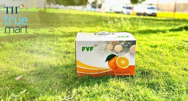Hộp cam Nghĩa Đàn FVF 5 kg được sơ chế, phân loại, kiểm soát chất lượng và đóng gói theo quy cách hiện đại, lịch sự và thân thiện với môi trường
