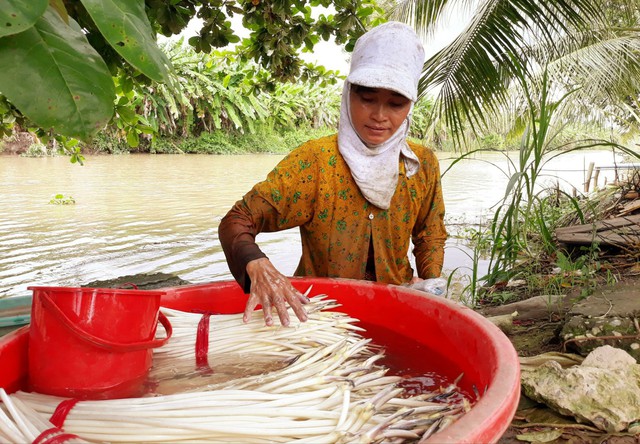 Nhiều mô hình kinh tế của phụ nữ Khmer ở Sóc Trăng- Ảnh 1.