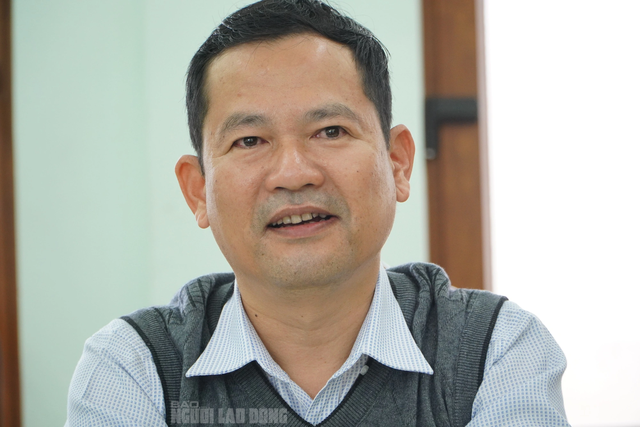 Chủ tịch huyện lên tiếng vụ gỗ lậu trên đất trưởng phòng nội vụ ở Quảng Nam- Ảnh 1.