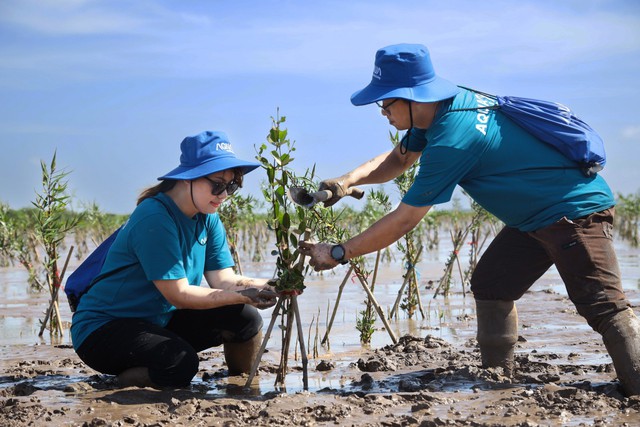 AQUA Việt Nam góp sức trồng rừng ngập mặn tại Sóc Trăng- Ảnh 1.
