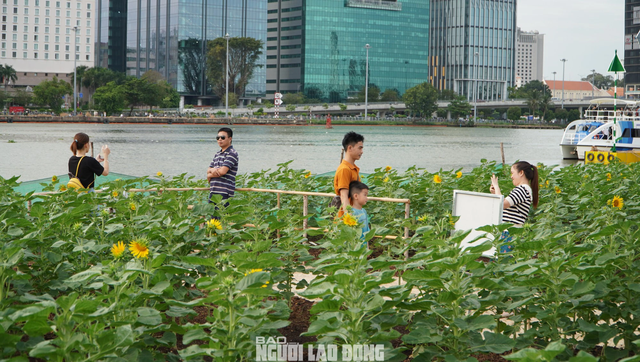 Công viên bờ sông Sài Gòn chính thức mở cửa phục vụ người dân- Ảnh 3.