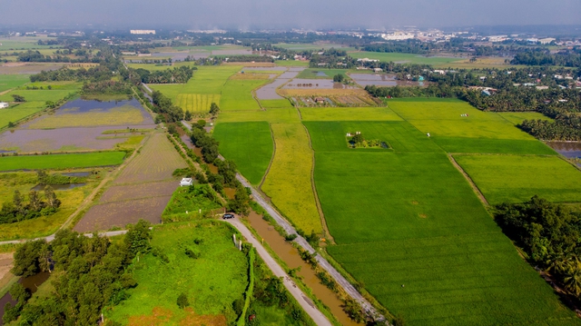 Giải half-marathon "Tự hào Tổ quốc tôi" 2024: Trải nghiệm tuyệt vời, đầy ý nghĩa- Ảnh 3.