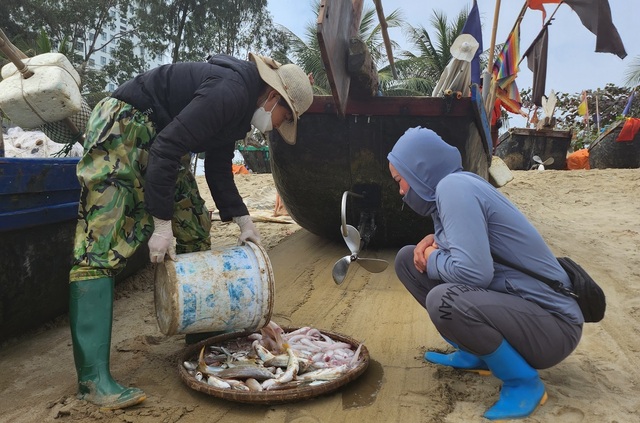 Ngư dân Sầm Sơn vào mùa cá khoai, thu tiền triệu mỗi ngày- Ảnh 3.