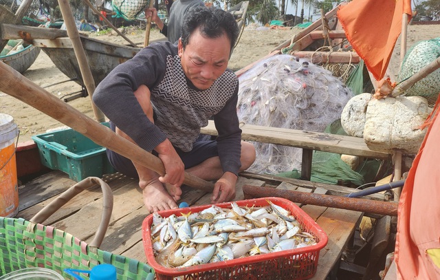 Ngư dân Sầm Sơn vào mùa cá khoai, thu tiền triệu mỗi ngày- Ảnh 5.