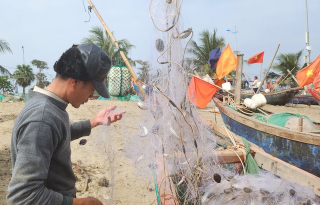 Ngư dân Sầm Sơn vào mùa cá khoai, thu tiền triệu mỗi ngày- Ảnh 6.