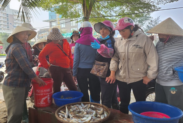 Ngư dân Sầm Sơn vào mùa cá khoai, thu tiền triệu mỗi ngày- Ảnh 12.