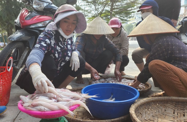 Ngư dân Sầm Sơn vào mùa cá khoai, thu tiền triệu mỗi ngày- Ảnh 8.