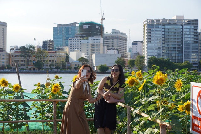 Vườn hoa hướng dương ven sông Sài Gòn nườm nượp  khách ngày đầu năm- Ảnh 4.