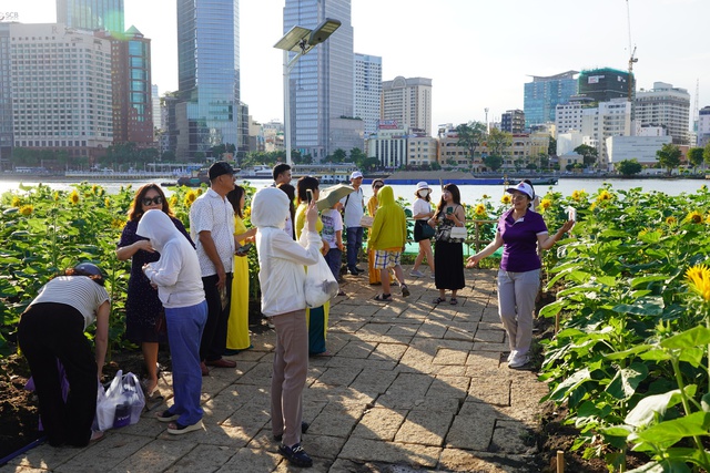 Vườn hoa hướng dương ven sông Sài Gòn nườm nượp  khách ngày đầu năm- Ảnh 2.