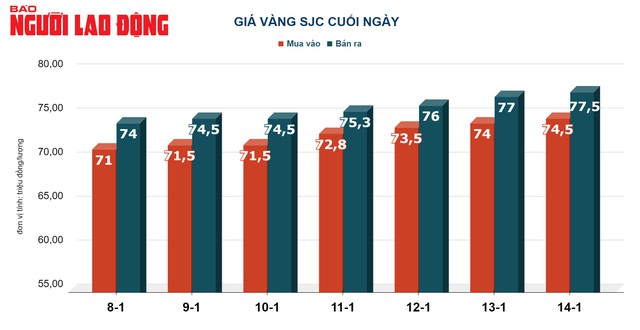 Giá vàng hôm nay 15-11: Vàng miếng SJC tăng nóng- Ảnh 2.