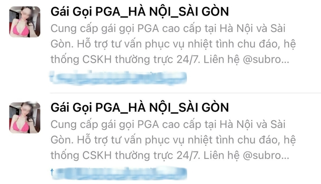 Lập nhóm "Gái gọi PGA Hà Nội-Sài Gòn" trên mạng xã hội để lừa đảo- Ảnh 2.