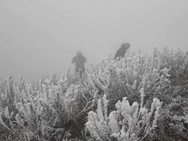 Băng tuyết phủ trắng đỉnh Mẫu Sơn, du khách kéo lên ngắm- Ảnh 6.