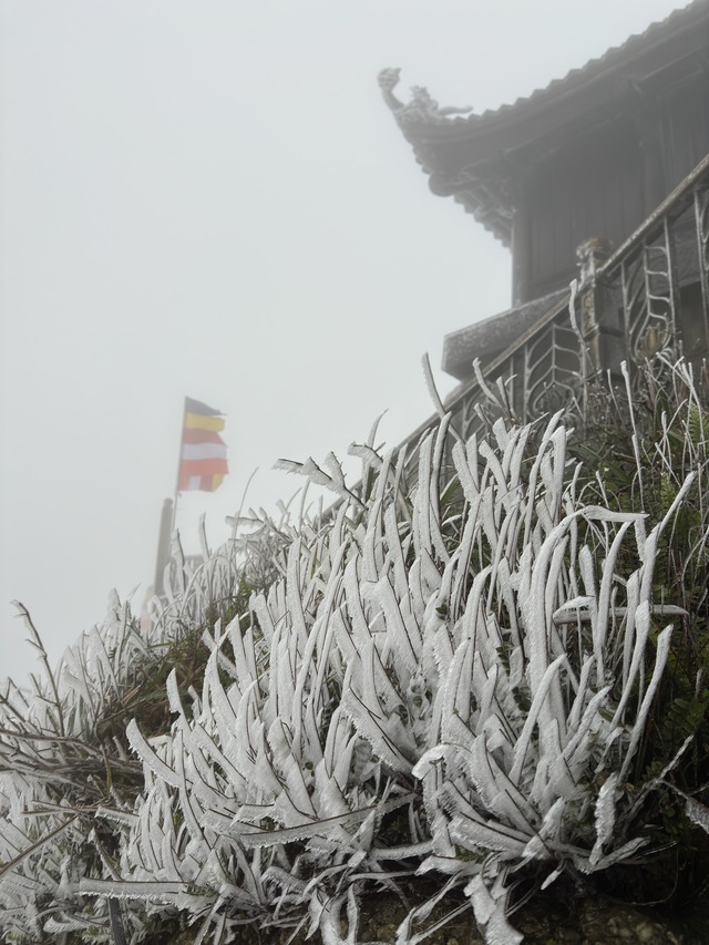 Băng tuyết phủ trắng chùa Đồng trên đỉnh Yên Tử- Ảnh 1.