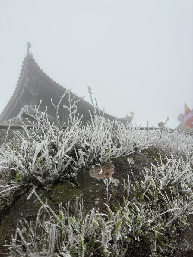 Băng tuyết phủ trắng chùa Đồng trên đỉnh Yên Tử- Ảnh 3.