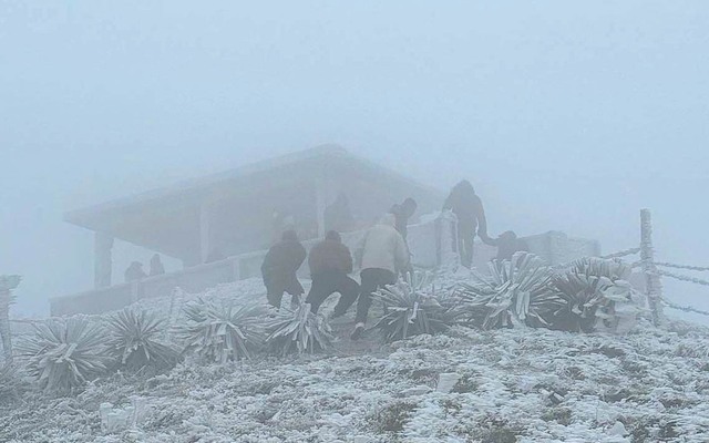 VIDEO: Băng giá phủ trắng trên đỉnh Mẫu Sơn- Ảnh 4.