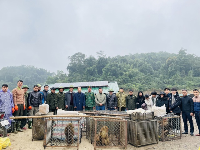 Vườn quốc gia Vũ Quang tái thả 30 cá thể động vật hoang dã về môi trường tự nhiên- Ảnh 3.