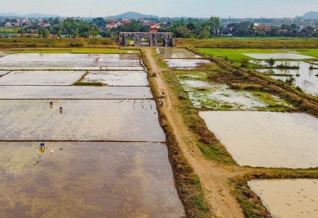 Bình yên cảnh nông dân cấy lúa trong thành cổ trên 600 năm tuổi- Ảnh 11.