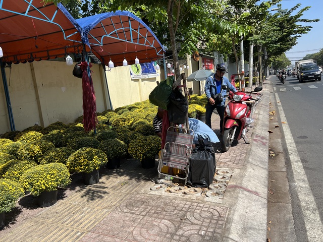 Hoa Tết tràn ra đường, hạ giá sớm- Ảnh 6.